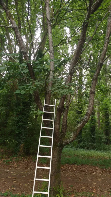Camping Le Vieux Moulin