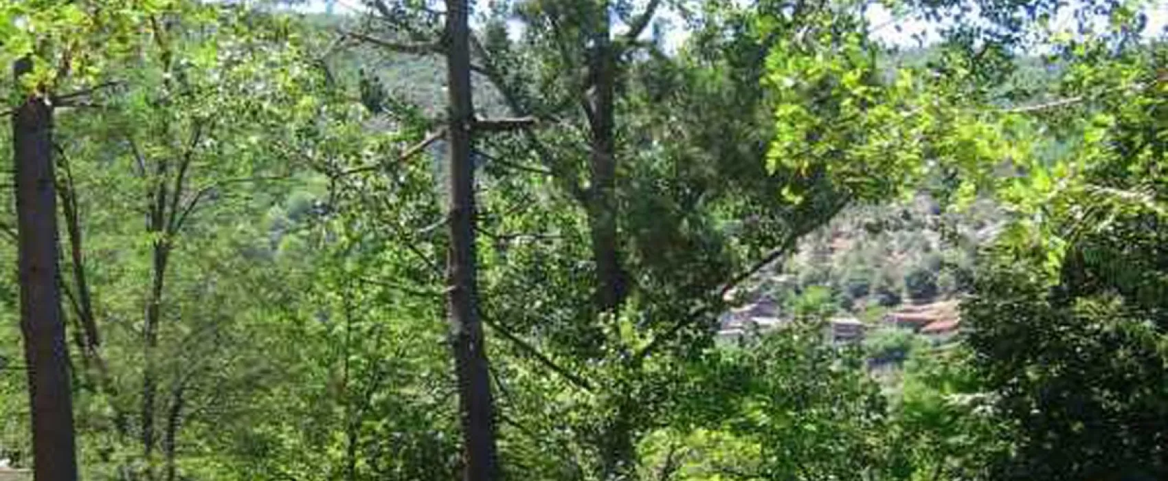 Les Gorges du Chassezac