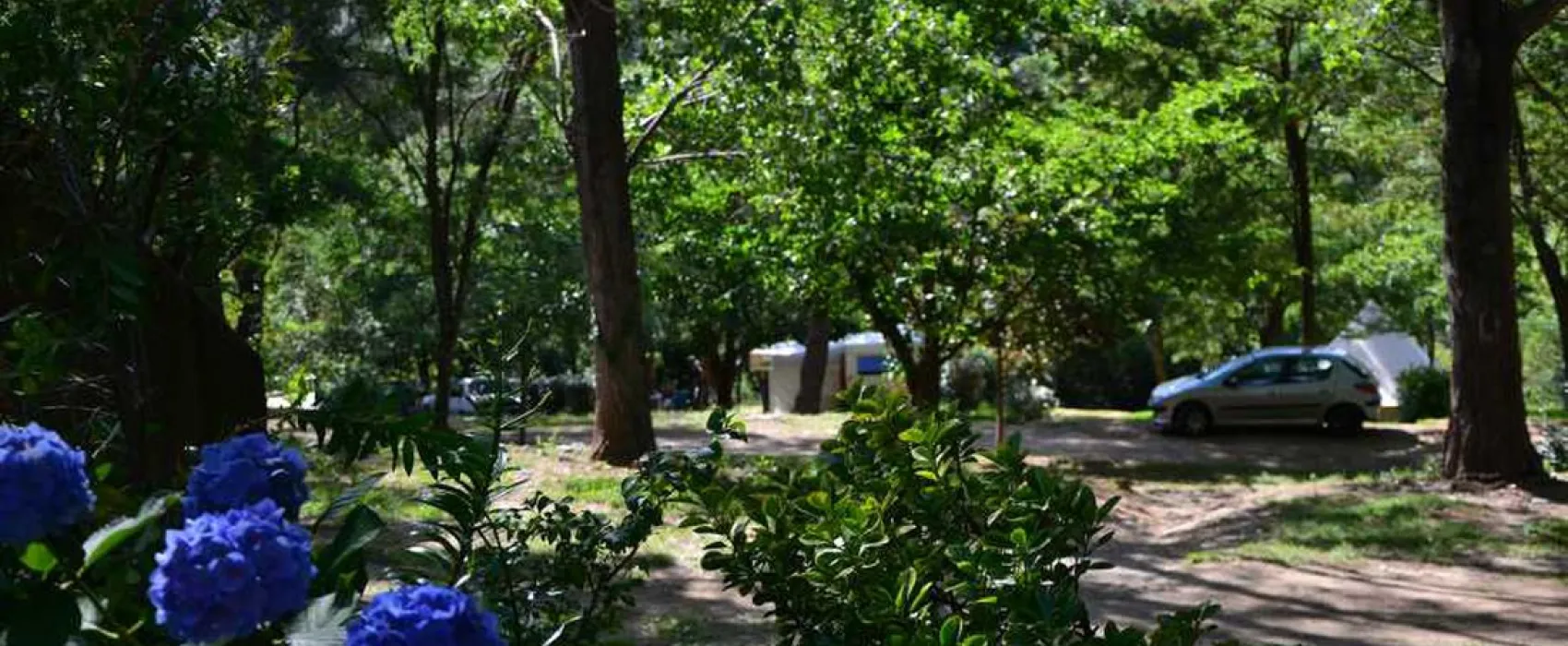 Les Gorges du Chassezac