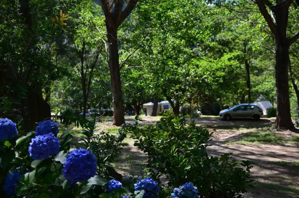 Les Gorges du Chassezac