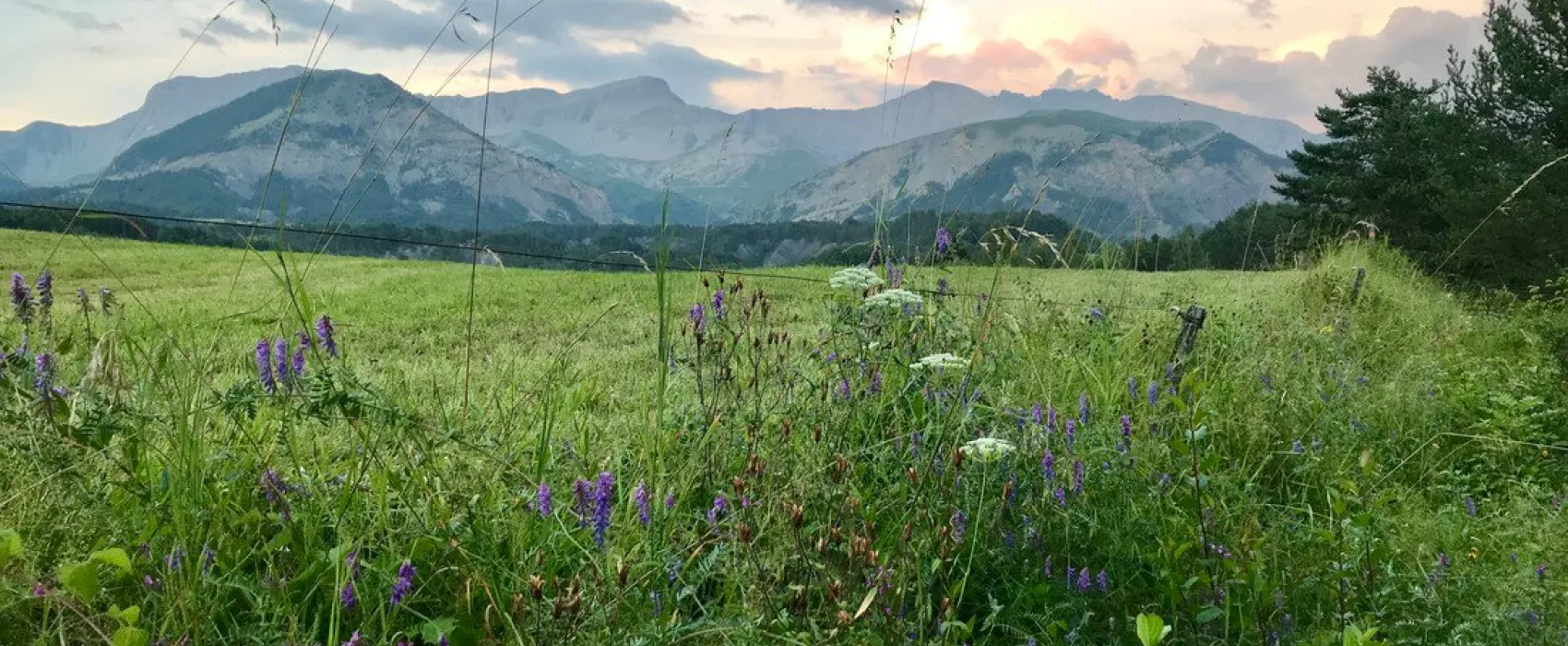 Lou Passavous (Glamping)