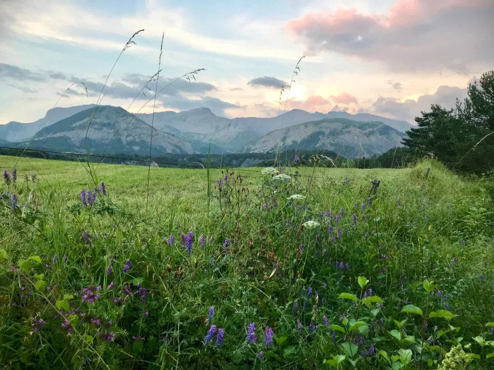 Lou Passavous (Glamping)