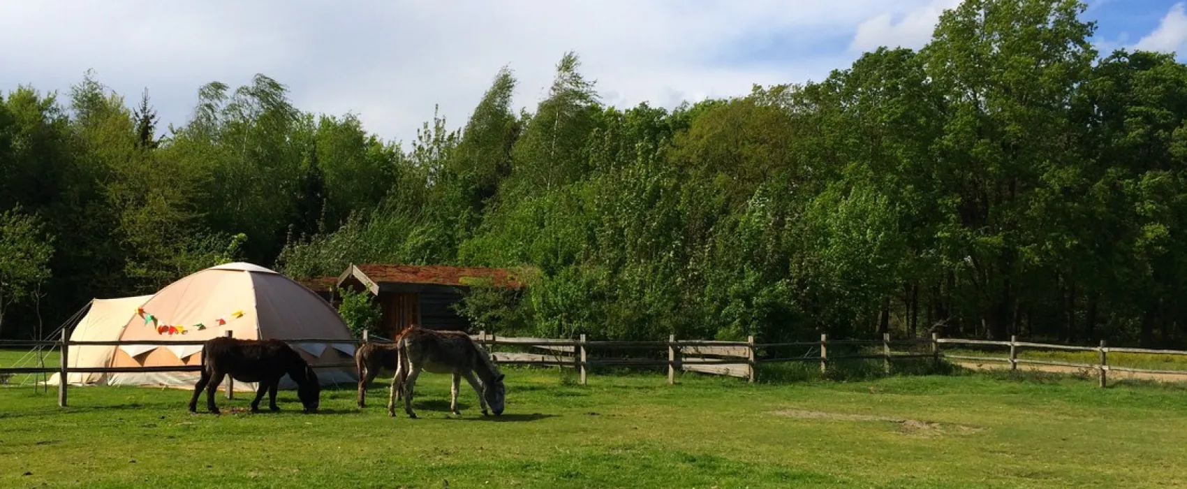 Minicamping-Ezelcamping In 't Niet