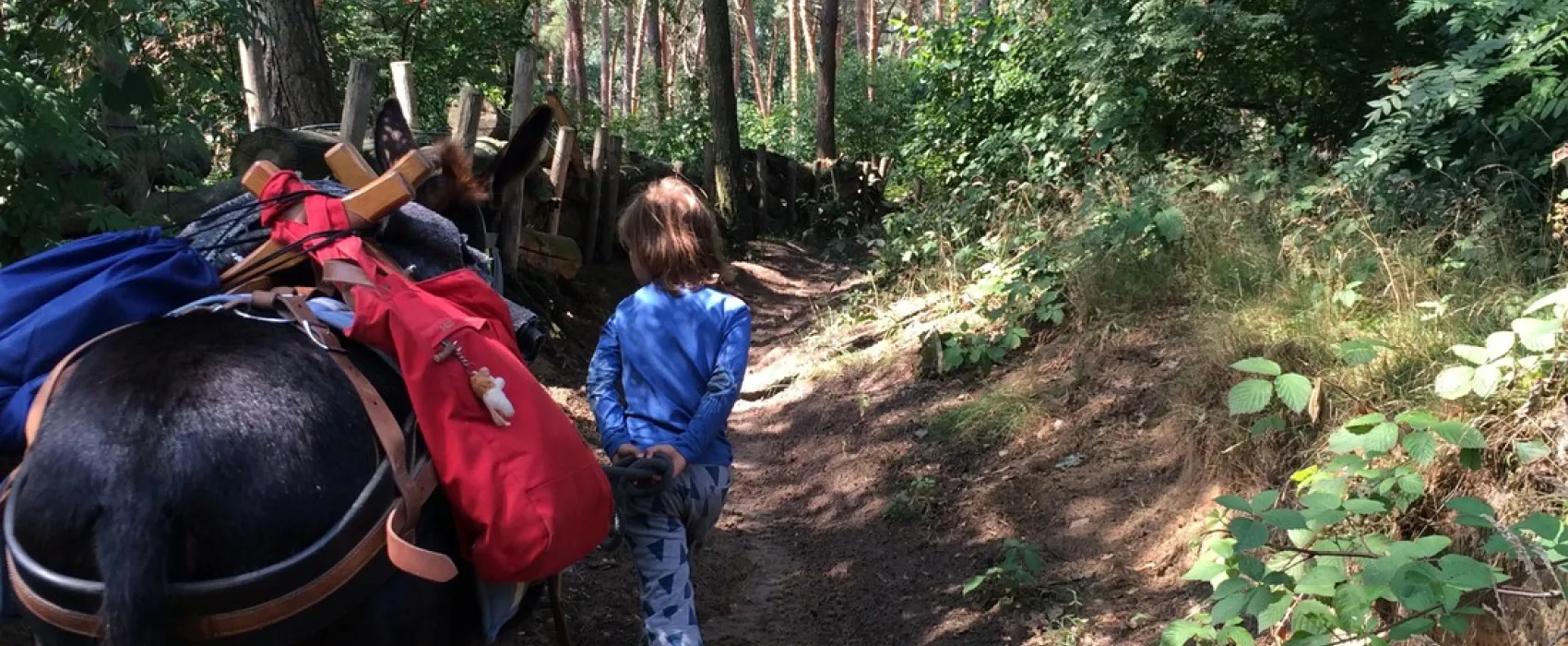 Minicamping-Ezelcamping In 't Niet