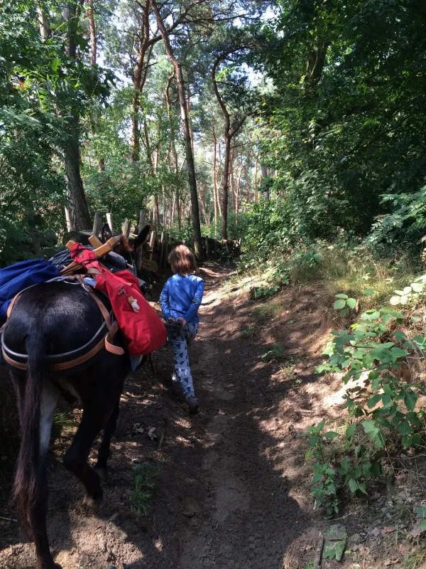 Minicamping-Ezelcamping In 't Niet