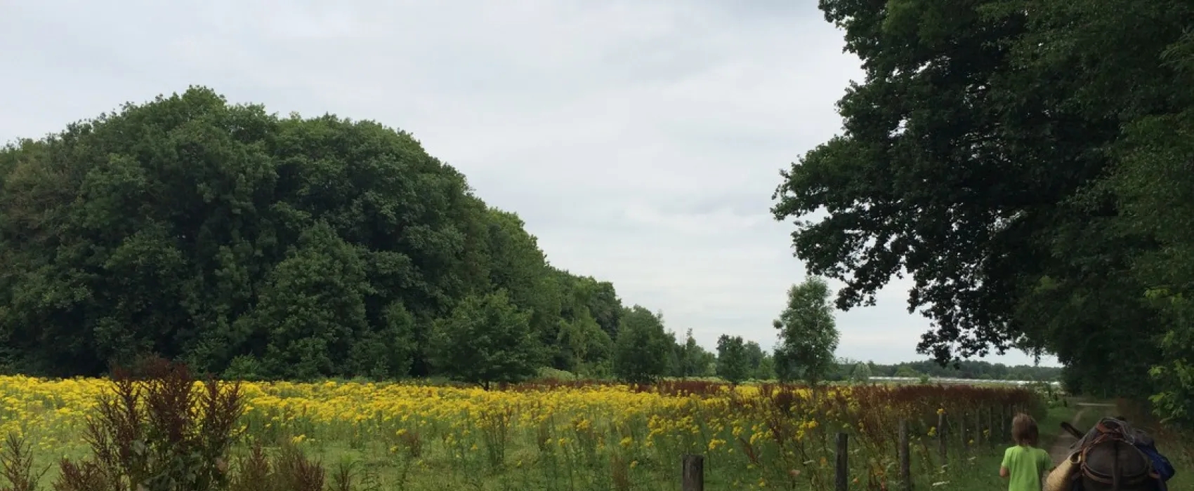 Minicamping-Ezelcamping In 't Niet