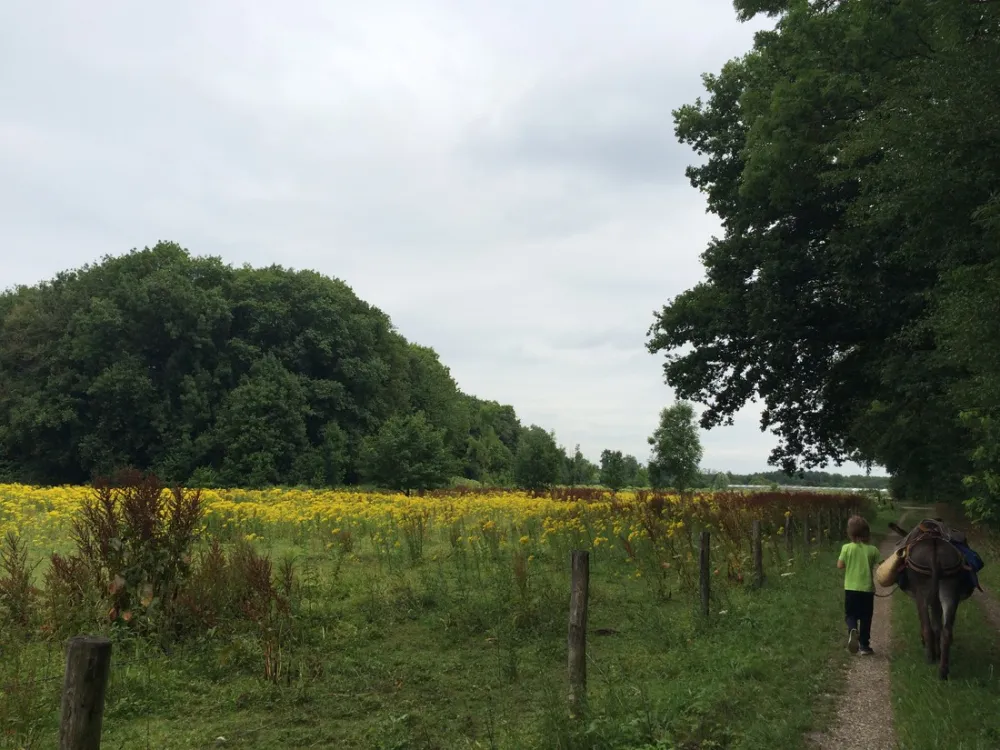 Minicamping-Ezelcamping In 't Niet