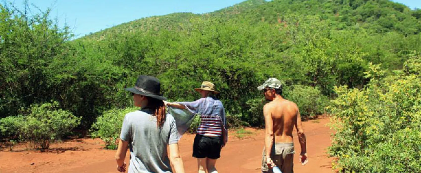 Thaba Nkwe Bushveld Inn