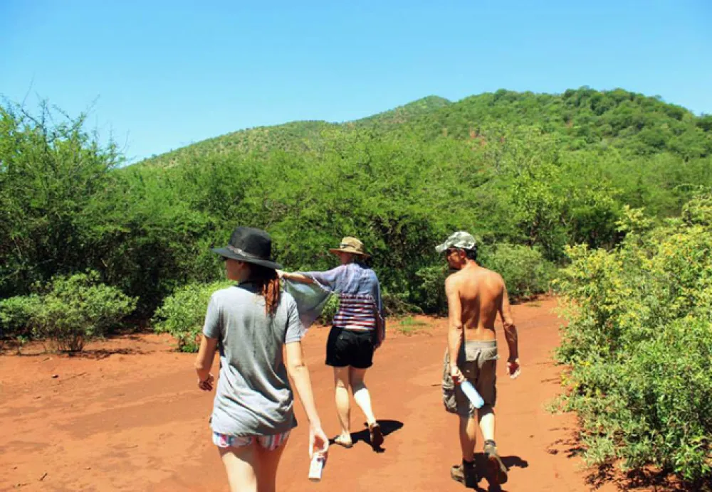 Thaba Nkwe Bushveld Inn