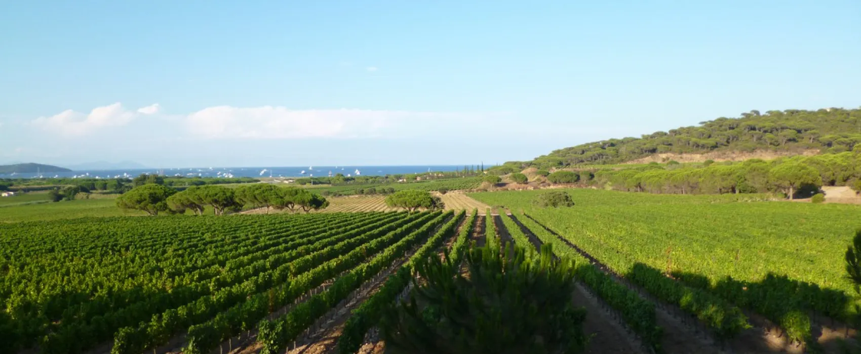 Yelloh! Village Les Tournels