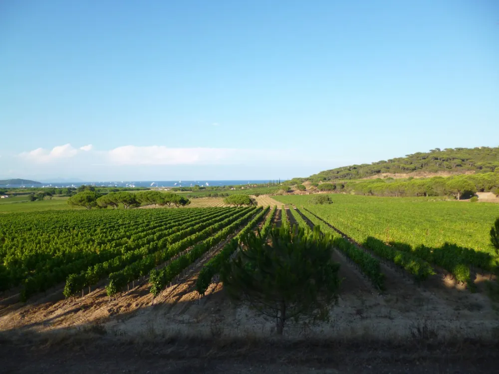 Yelloh! Village Les Tournels