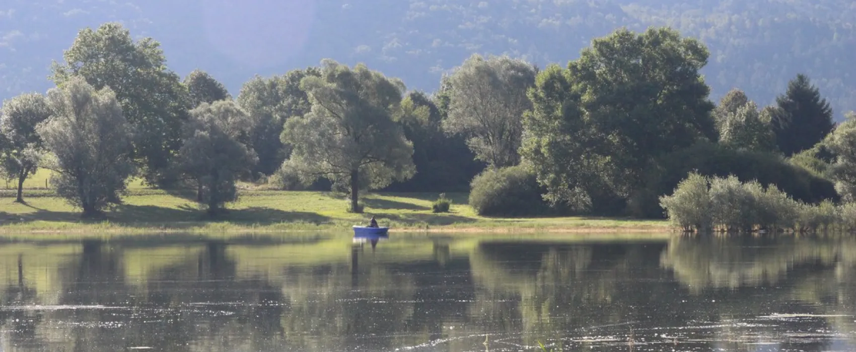 Camping des Gorges de l'Oignin