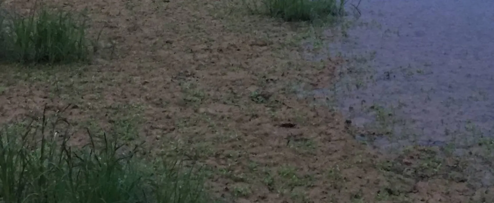 Camping des Gorges de l'Oignin