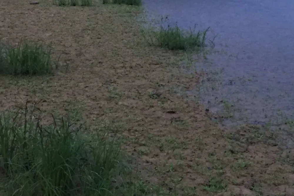 Camping des Gorges de l'Oignin