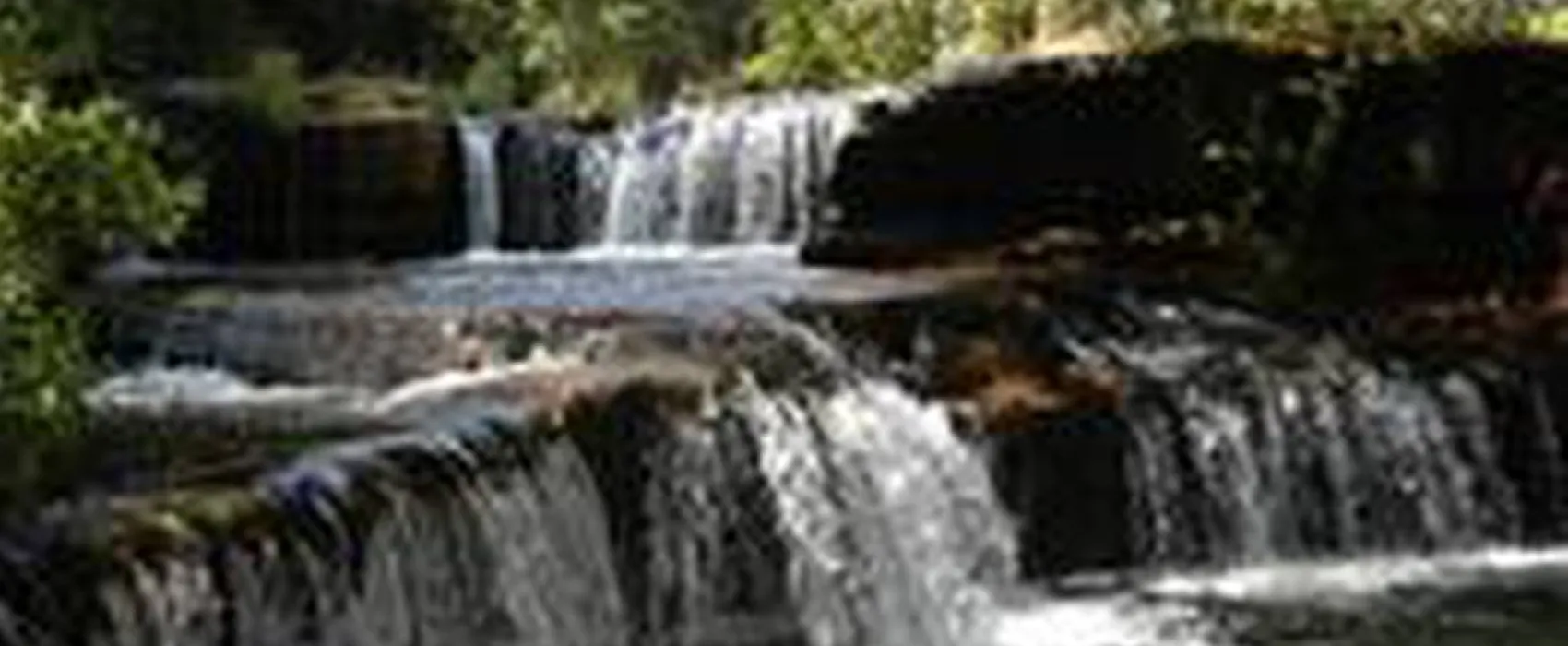 Camping des Gorges de l'Oignin