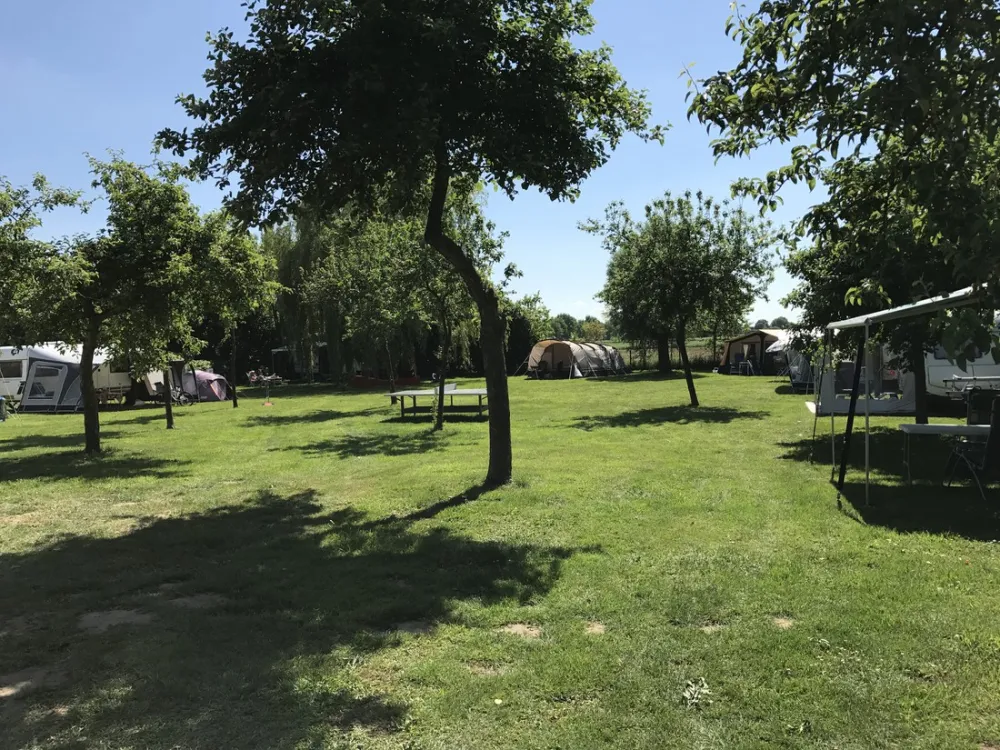 Minicamping de Mietvelder