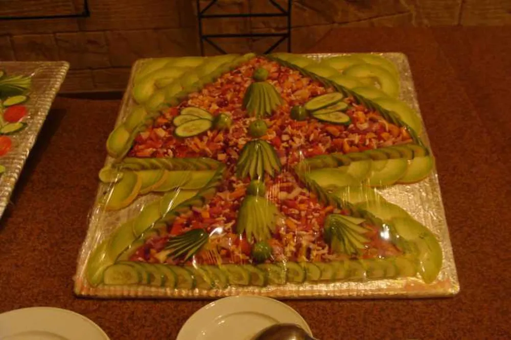 Ecolodge Shagra village