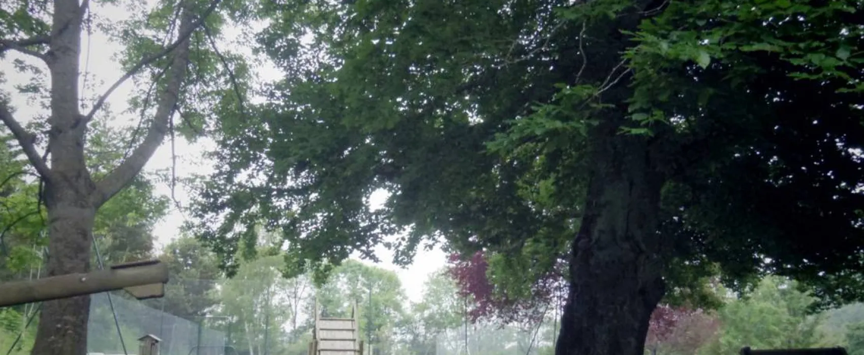 Camping Municipal Du Sabot