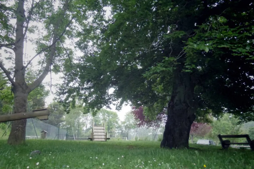 Camping Municipal Du Sabot