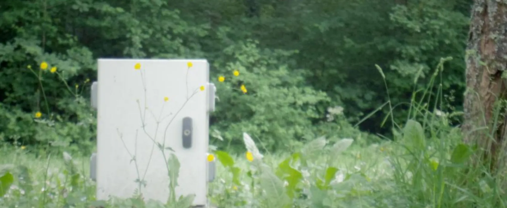 Camping Municipal Du Sabot