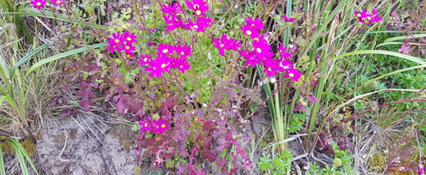 Blanket Bay Campground