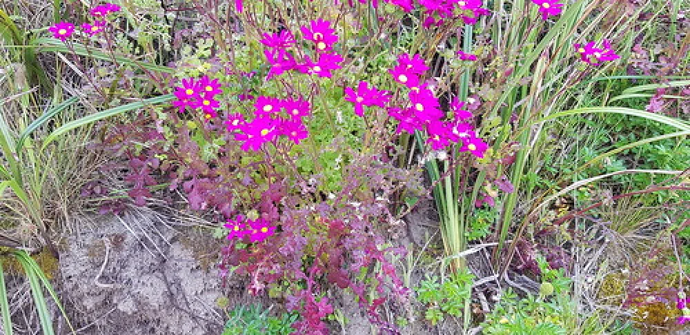 Blanket Bay Campground