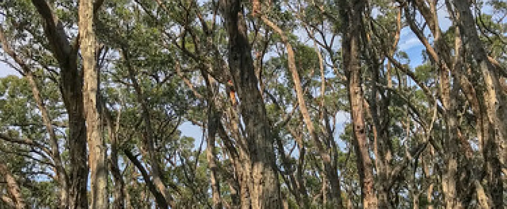 Blanket Bay Campground