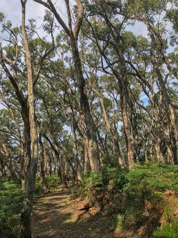 Blanket Bay Campground