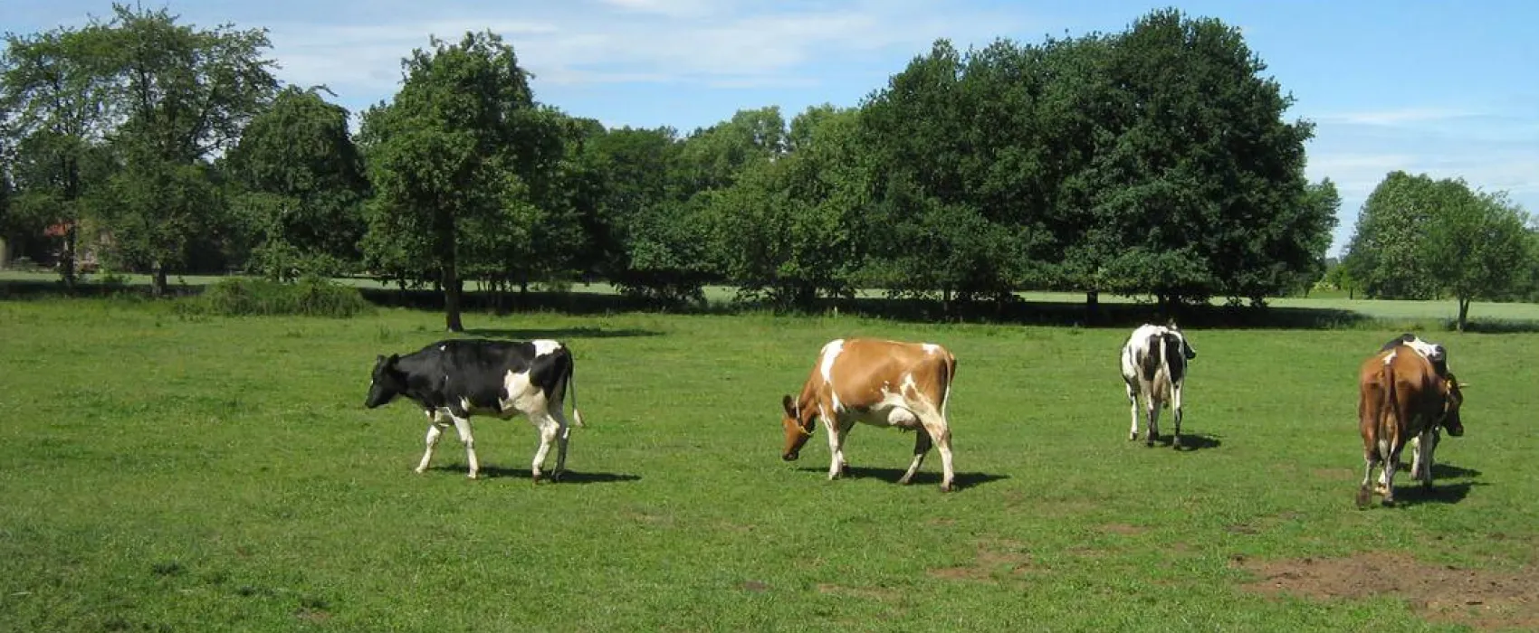 Natur & Familien Campingplatz im Brauke