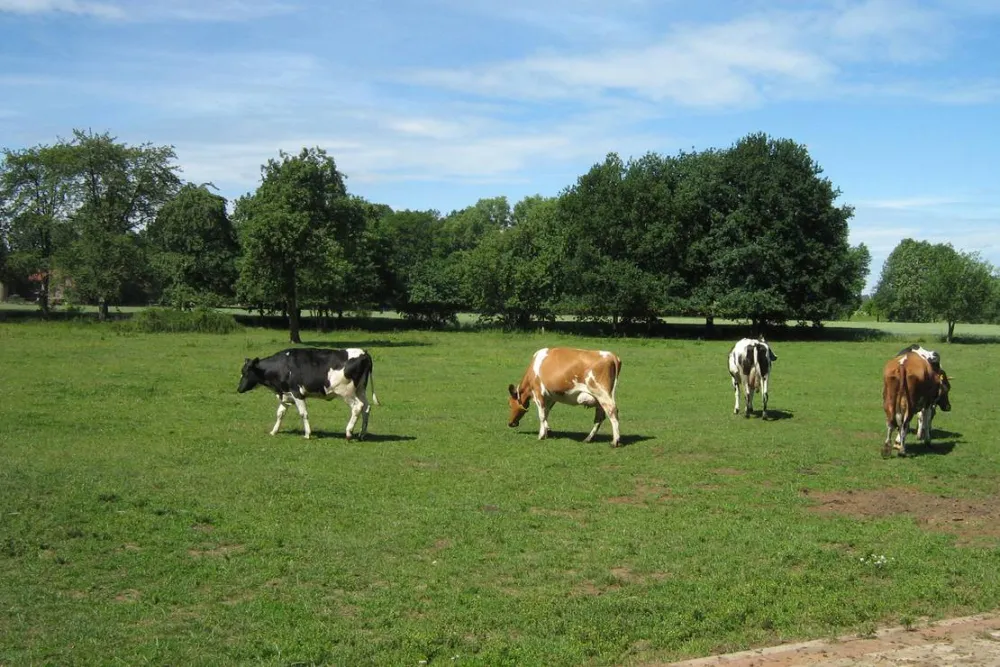 Natur & Familien Campingplatz im Brauke