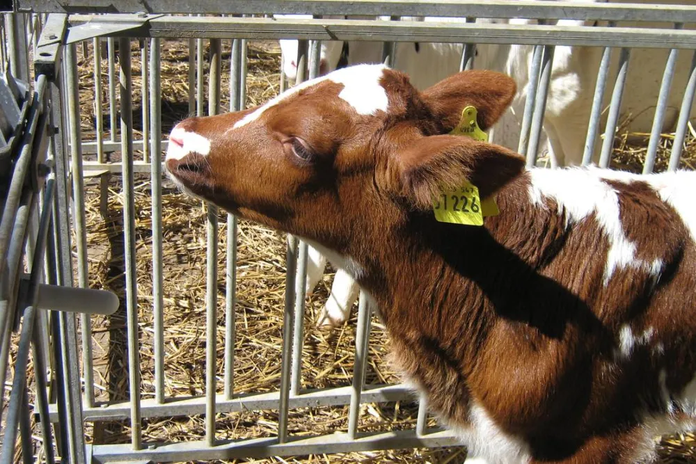 Natur & Familien Campingplatz im Brauke