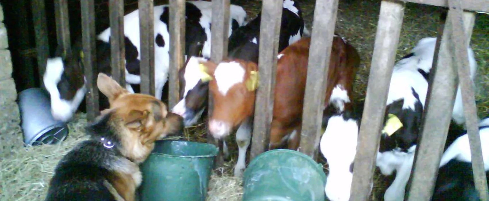 Natur & Familien Campingplatz im Brauke
