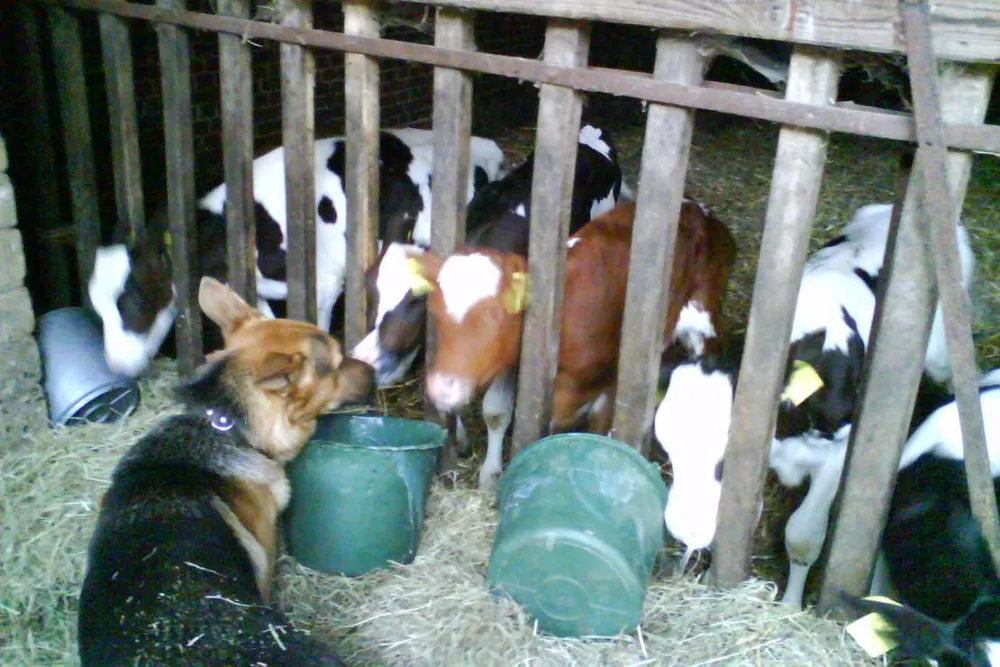 Natur & Familien Campingplatz im Brauke