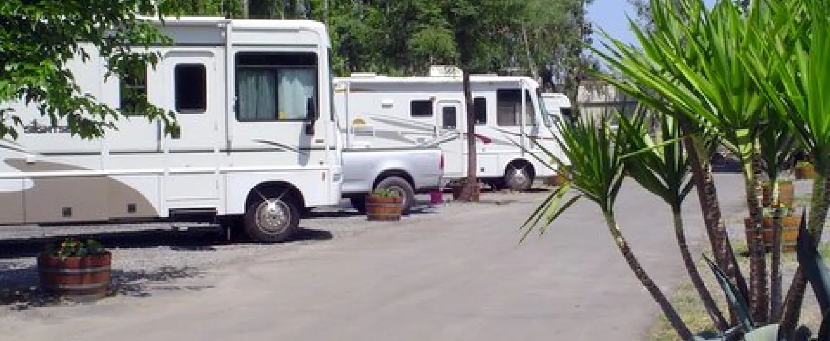 Wine Country RV Park - Sonoma