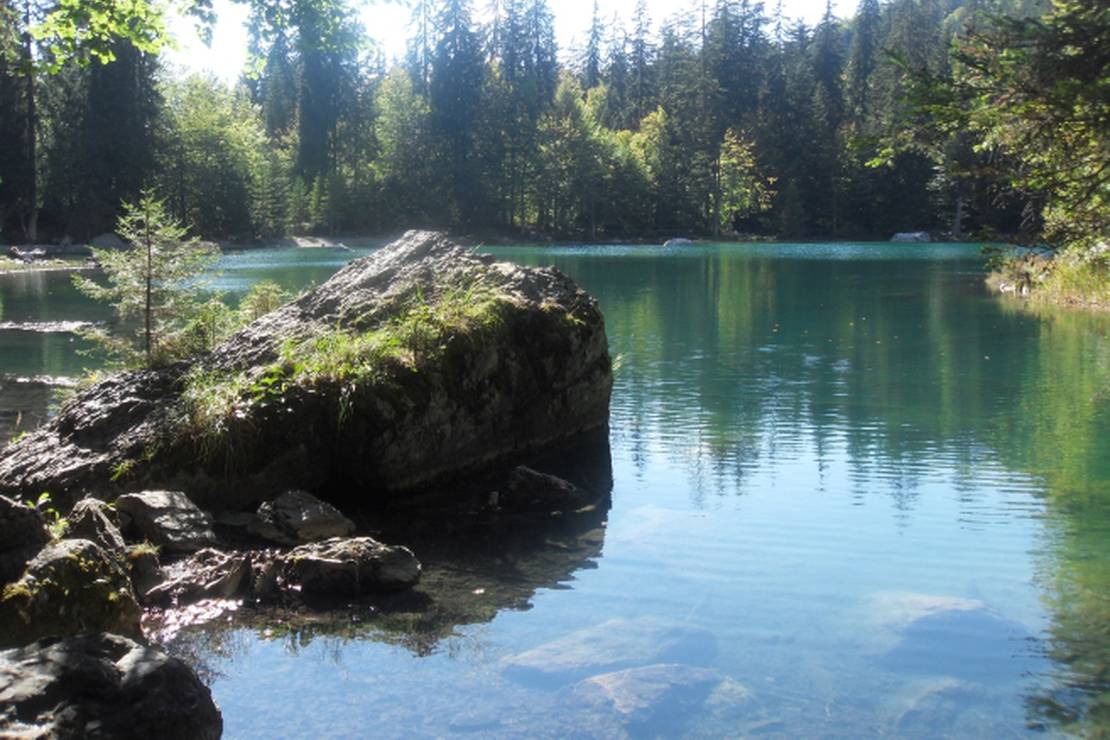 Camping natural area of Plaine-Joux photo 2