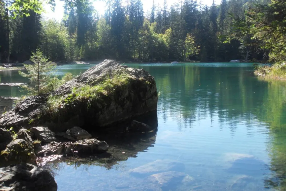 Camping aire naturelle de Plaine-Joux