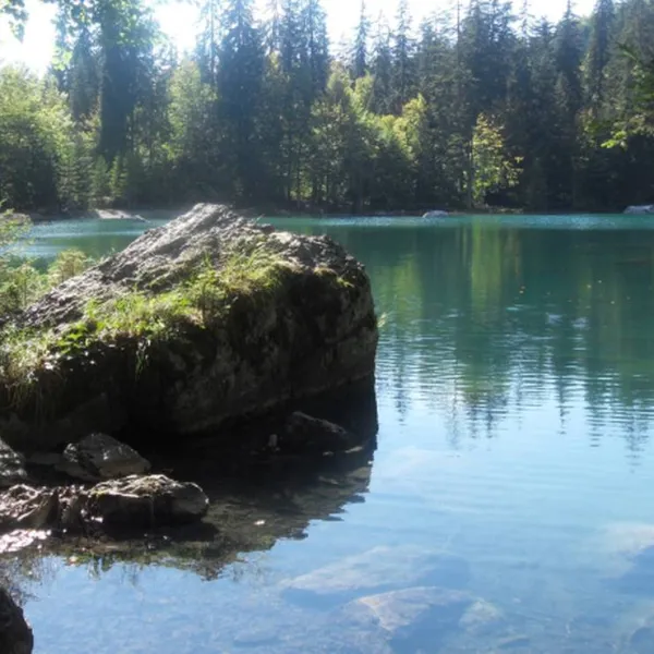 Camping natural area of Plaine-Joux