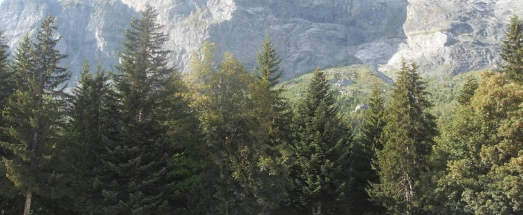 Camping aire naturelle de Plaine-Joux