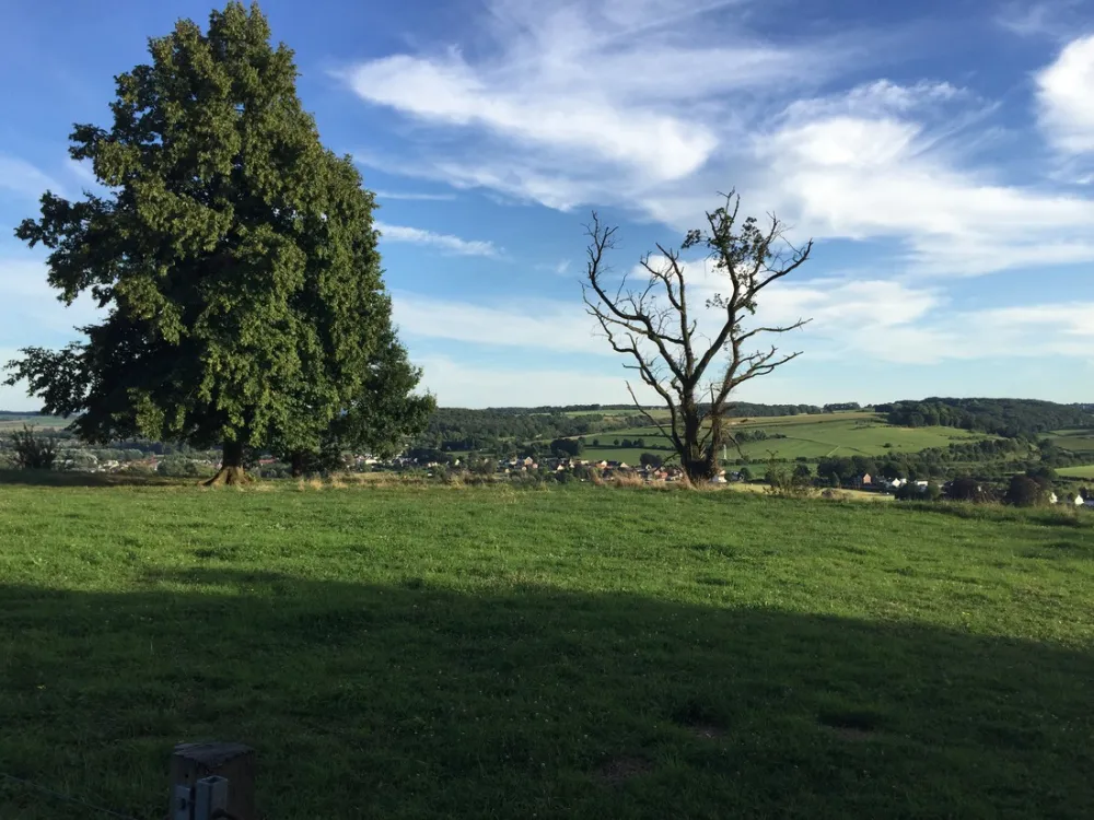 Minicamping Hubertus hoeve