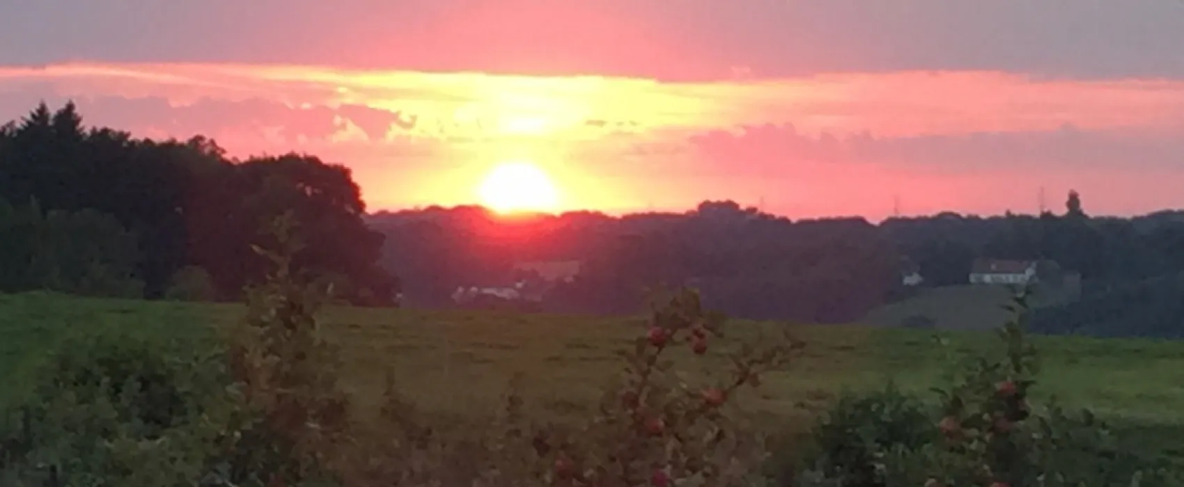 Minicamping Hubertus hoeve