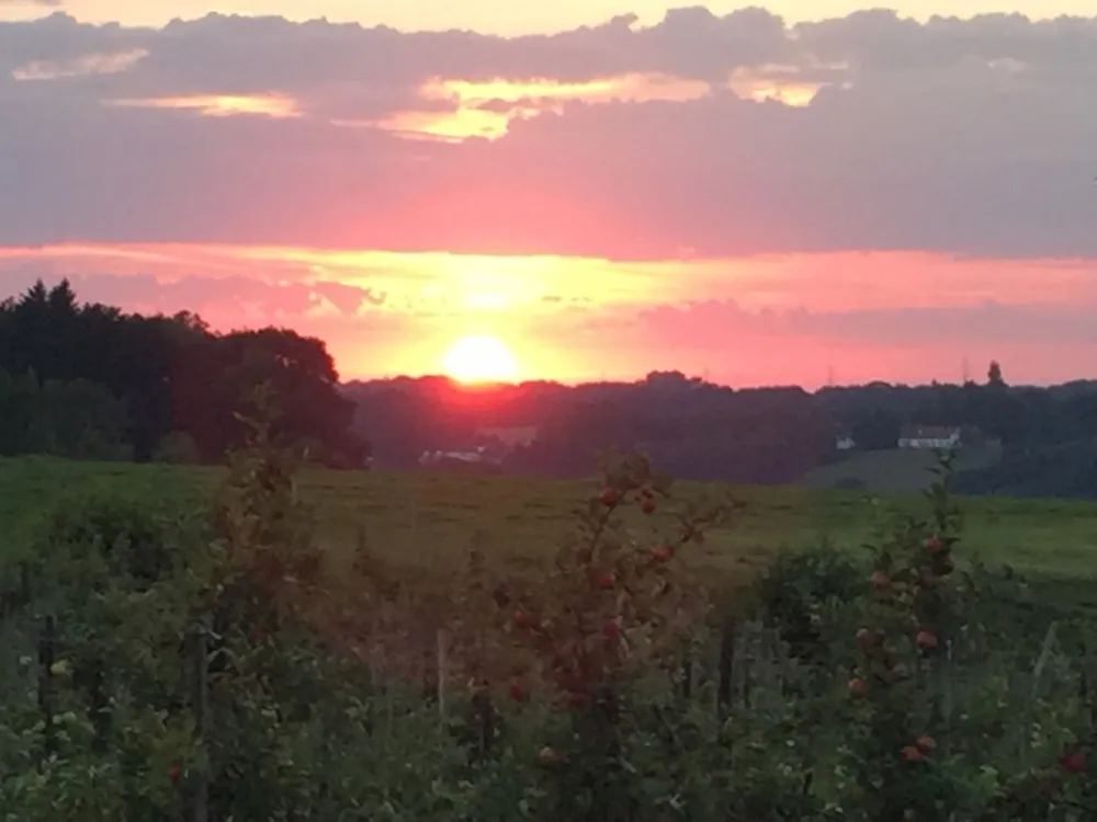 Minicamping Hubertus hoeve