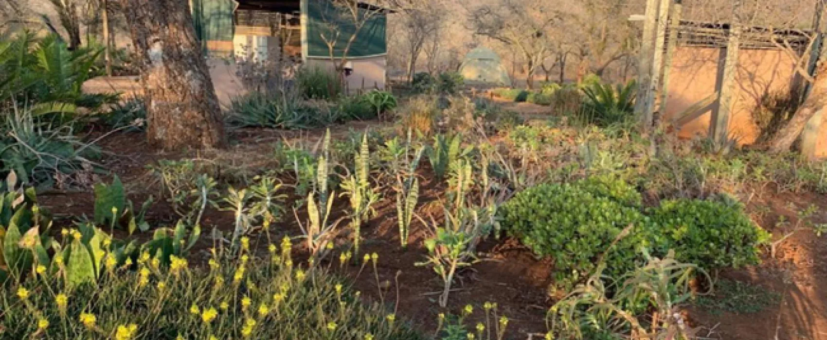 Shayamoya Rustic Bush Camp