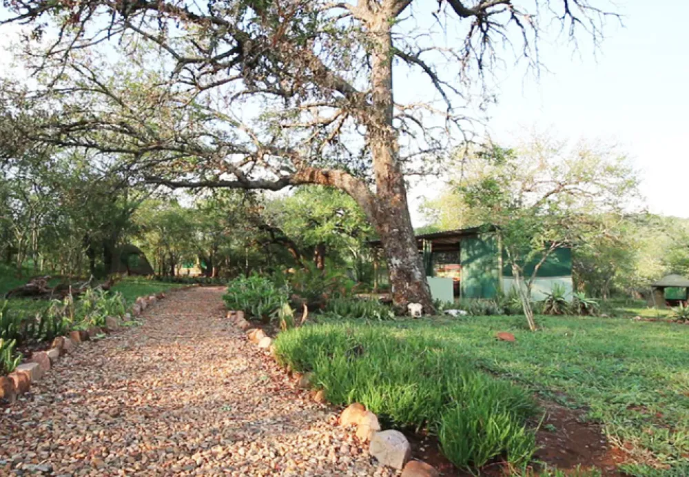 Shayamoya Rustic Bush Camp