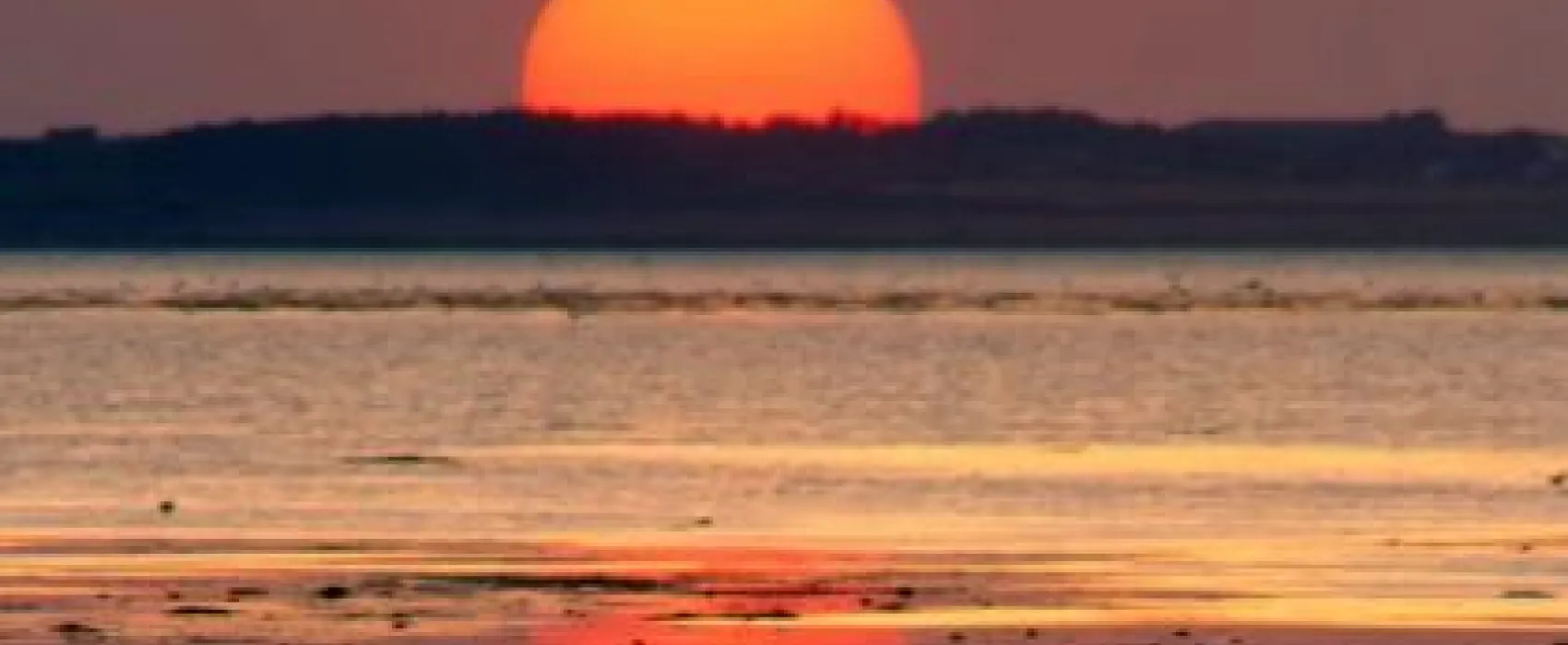 Treasure Beach RV Park