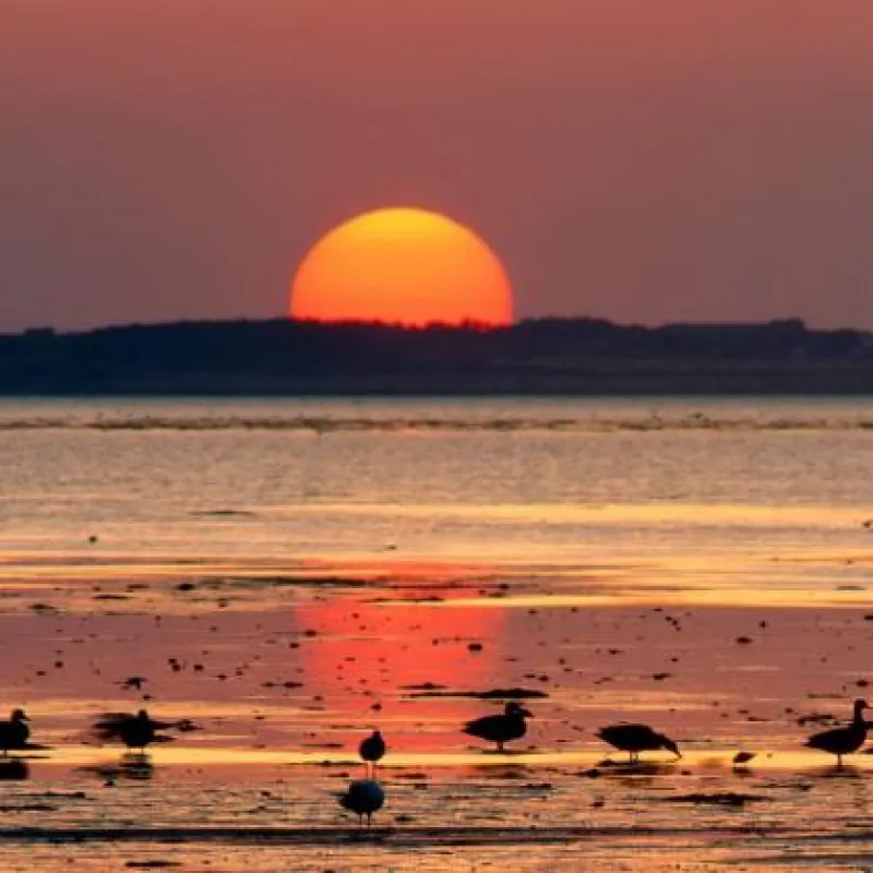 Treasure Beach RV Park