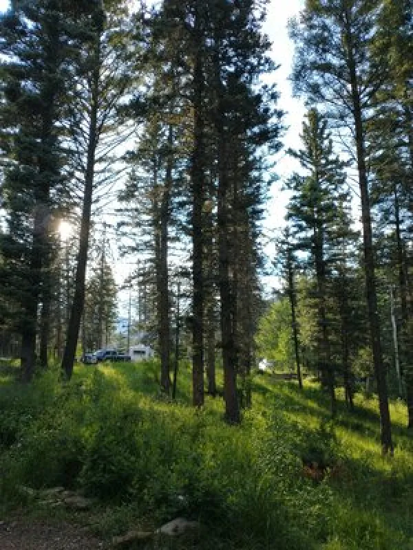 Agua Piedra Campground