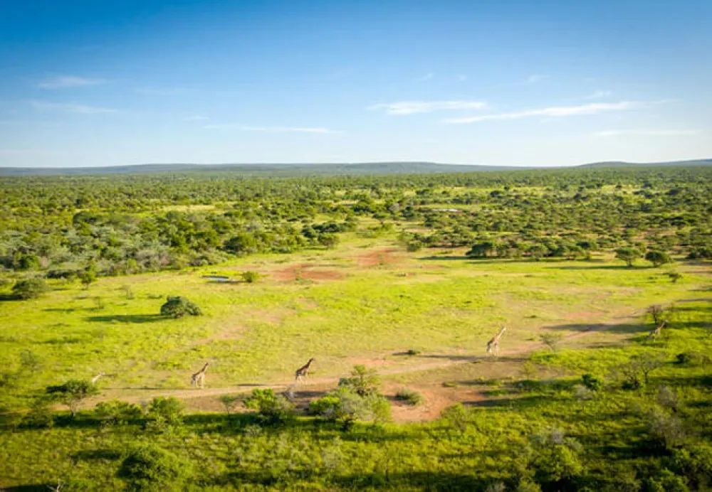 Rhino Bush Camp