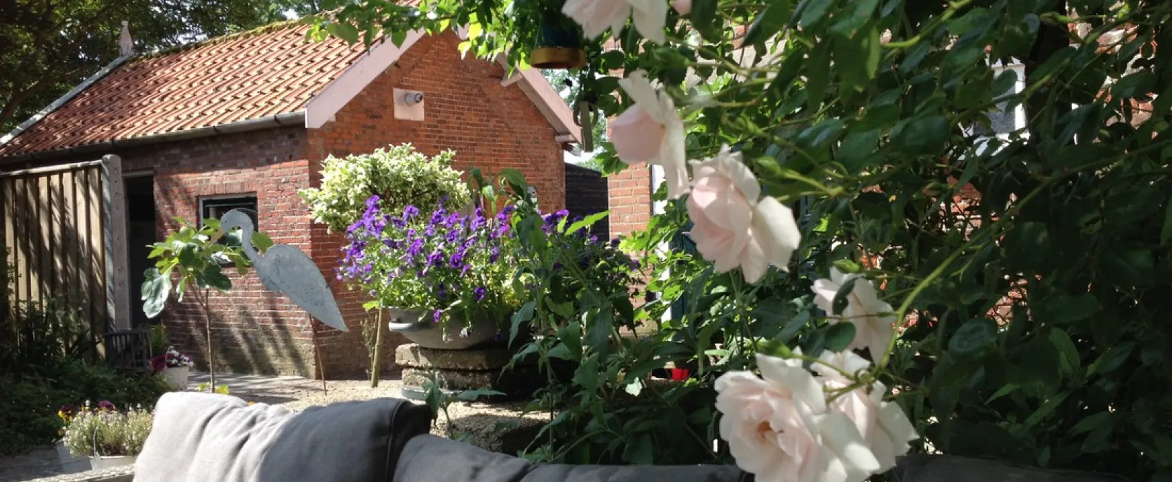 Minicamping Westerwijk