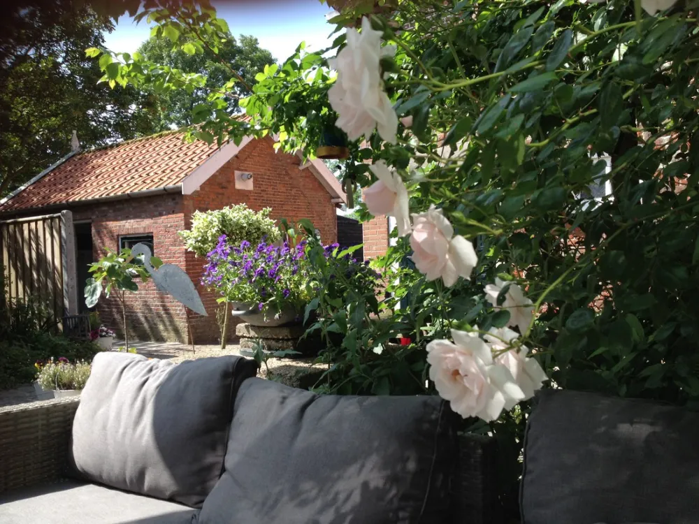 Minicamping Westerwijk