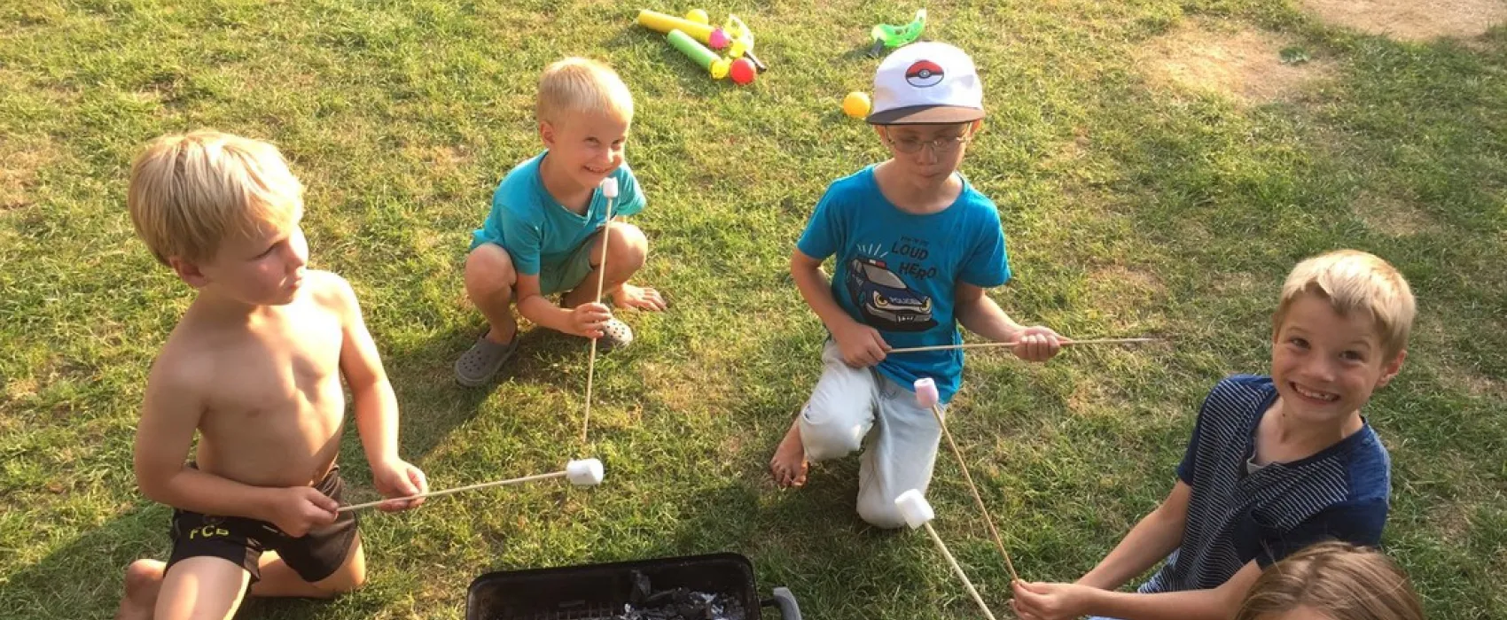 Minicamping Westerwijk